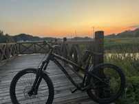 dartmoor hornet 2022 L