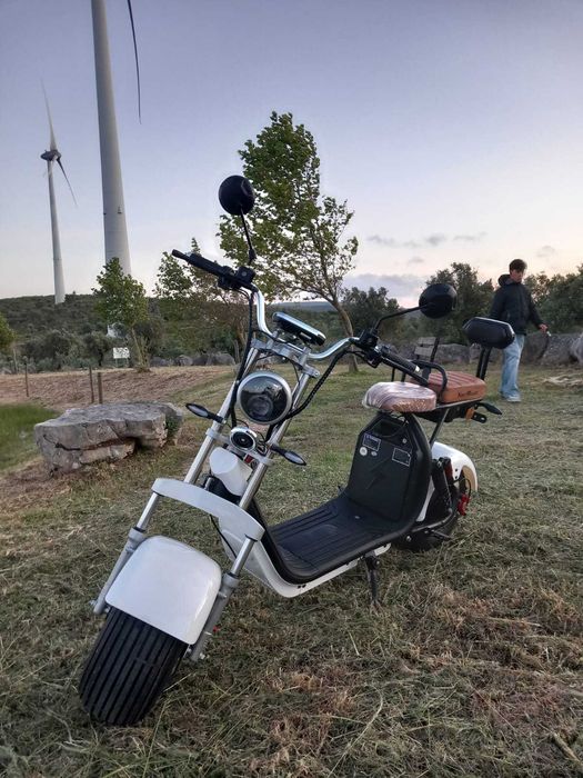 Citycoco - Electrica - Elegante -Ecologica 1500w