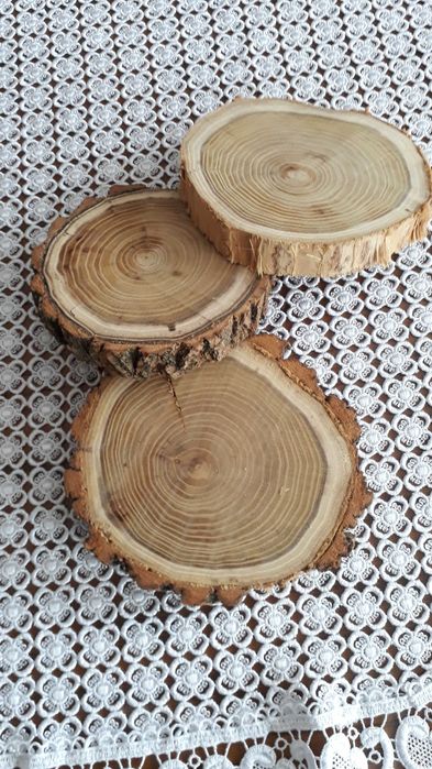 Suche plastry drewna akacji 15-18 cm plaster drzewa