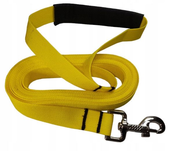 smycz z taśmy dla średniego psa do 5-25kg 2m