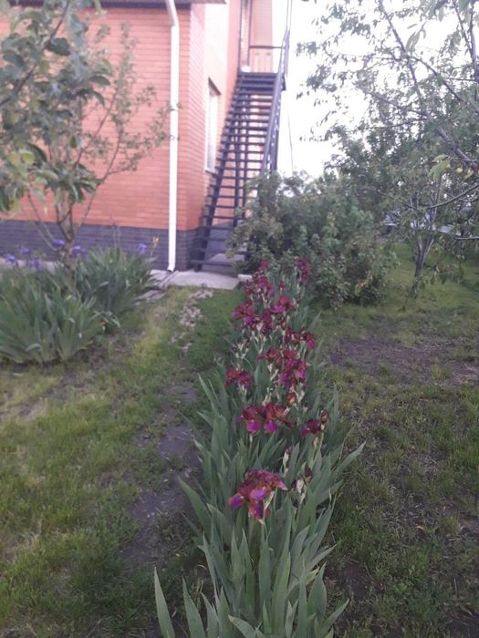 Здається койко - місця і кімнати Луначарка