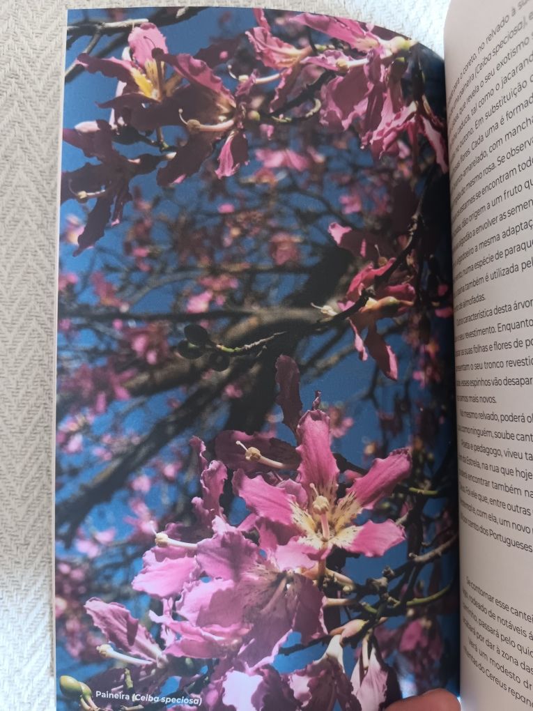 Ivo Meco, Jardins de Lisboa