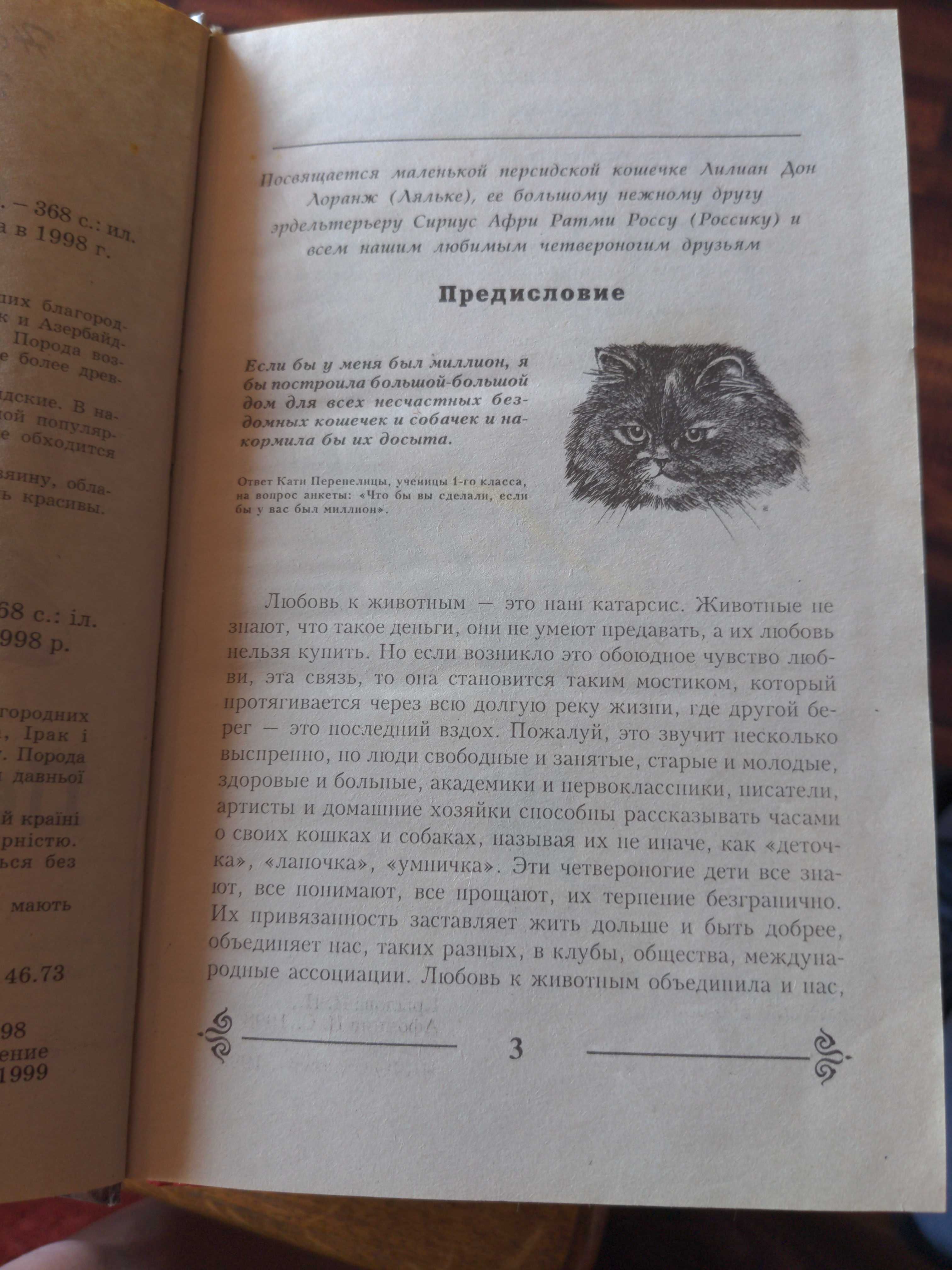 Персидские кошки. Все о кошках.