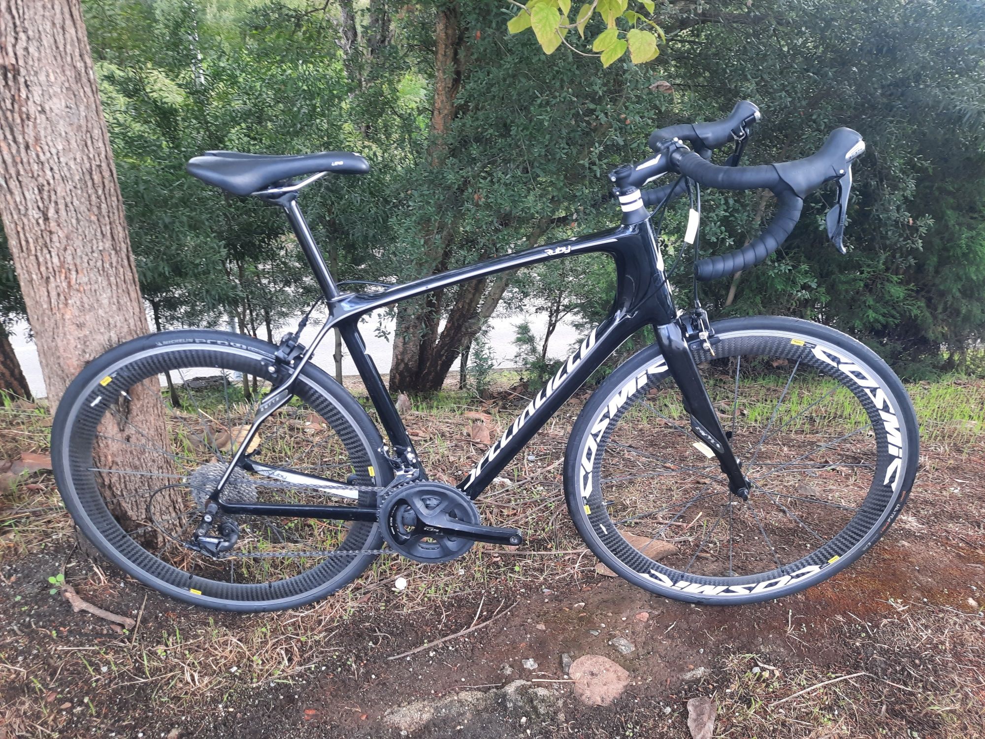 Specialized carbono m com rodas carbono 11x2v