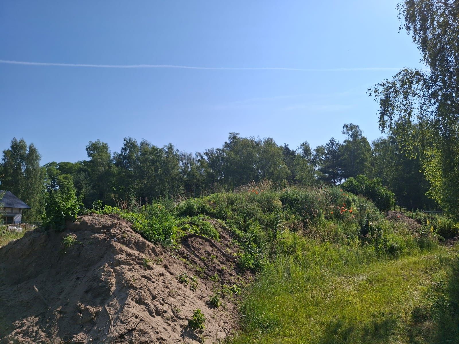 Sprzedam oddam ziemię