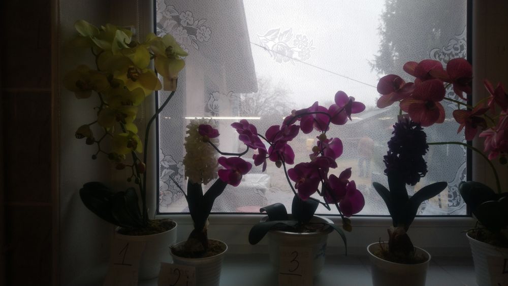 Sztuczne kwiaty storczyki