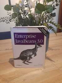 Enterprise JavaBeans 3.0