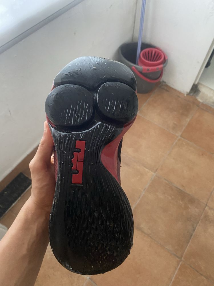 Lebron Witness IV
