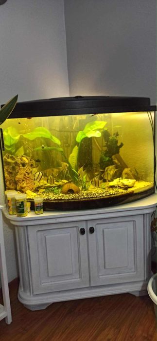 Akwarium narozne 200l