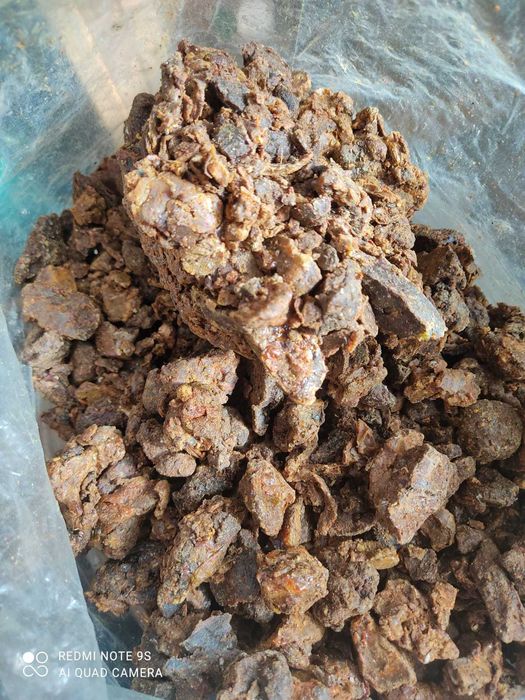 Propolis, kit pszczeli świeży, tegoroczny, 1 klasa czystości - HURT