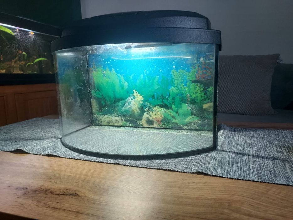 Używane akwarium ok 25l