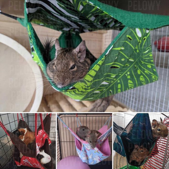 Hamaki i duże domki dla szczurków, świnki, fretki, gryzoni, szynszyla