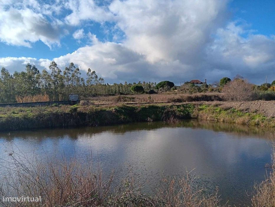Terreno Com 37.040 M2 E Viabilidade De Construção, Penhascoso De Mação