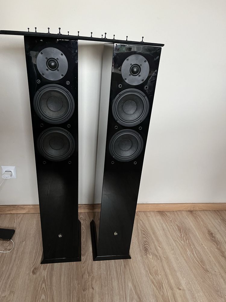 Audiofilskie DLS r55