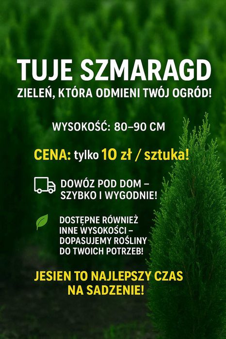 Piękne Tuje Szmaragd