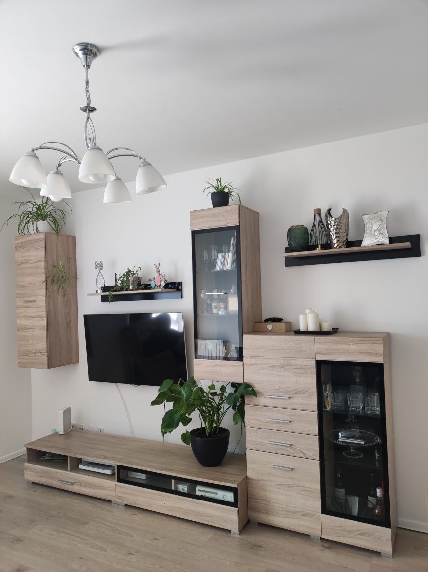 Meble do salonu, RTV meblościanka