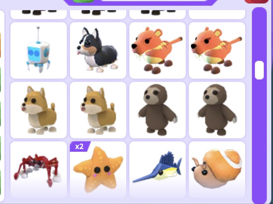 Pety adopt me roblox