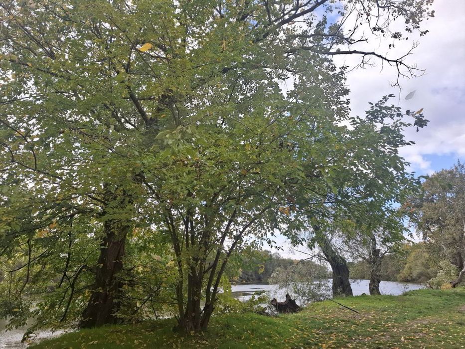 Reima комбінезон зимовий