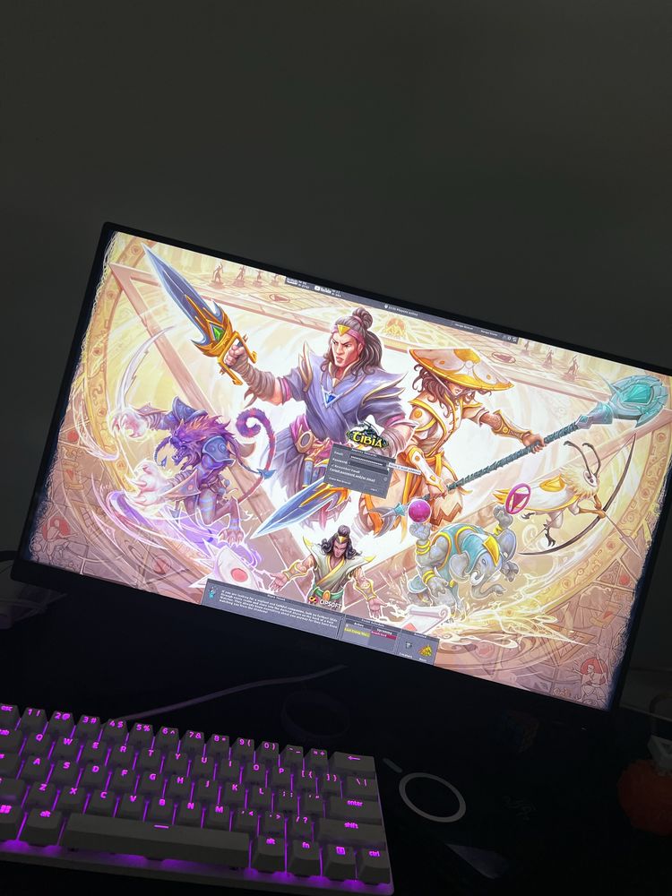 MONITOR ASUS 23.8 165hz