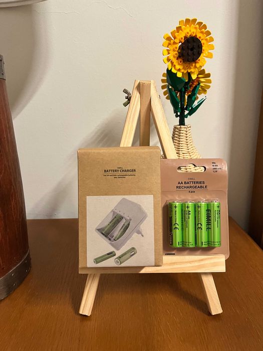 Carregado e pilhas recarregáveis