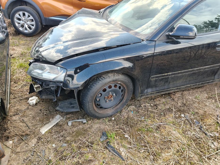 Blotnik przod Lewy Audi A3 8P Lift LY9B