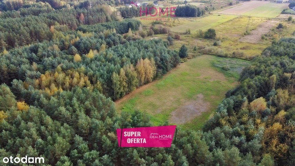 Sprzedam działkę w Rytwianach przy lesie