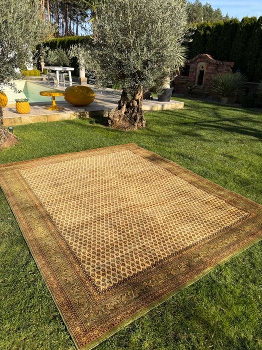 Kaszmirowy Wełniany dywan wzór perski Mir od Siras 300x250 gal. 8 tys