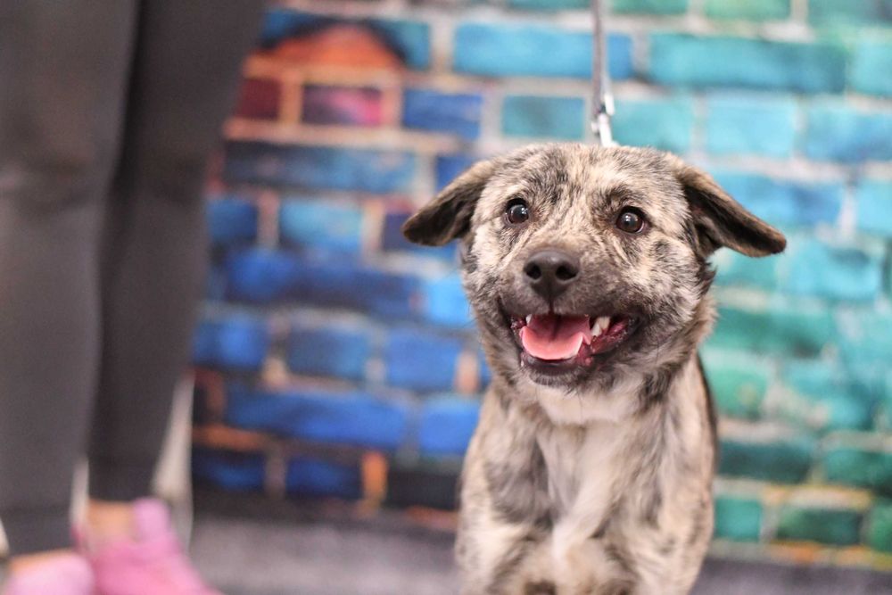 Radosny Hiro prosi o fajnych ludzi do kochania!