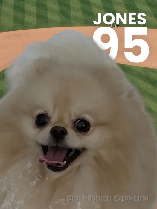Dior Fashion запрошує на в'язку. Шпіц пом, КСУ, 21 см.