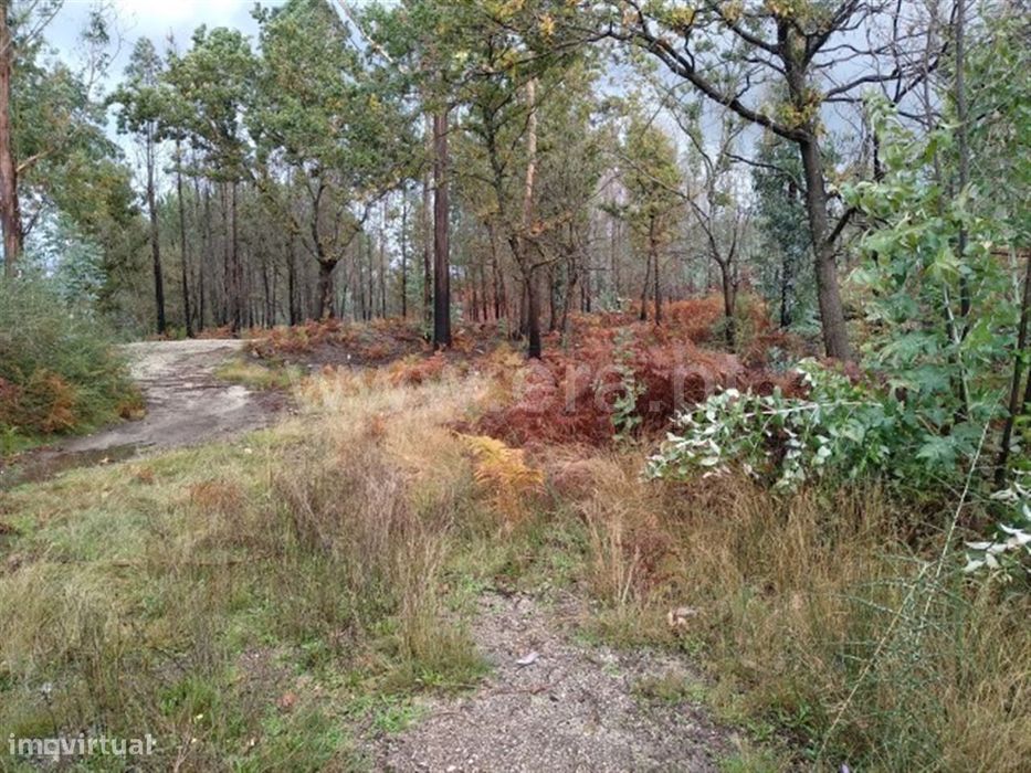 Terreno em Arnozela
