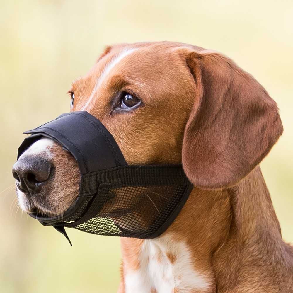 Açaime com rede para cães Tamanho M