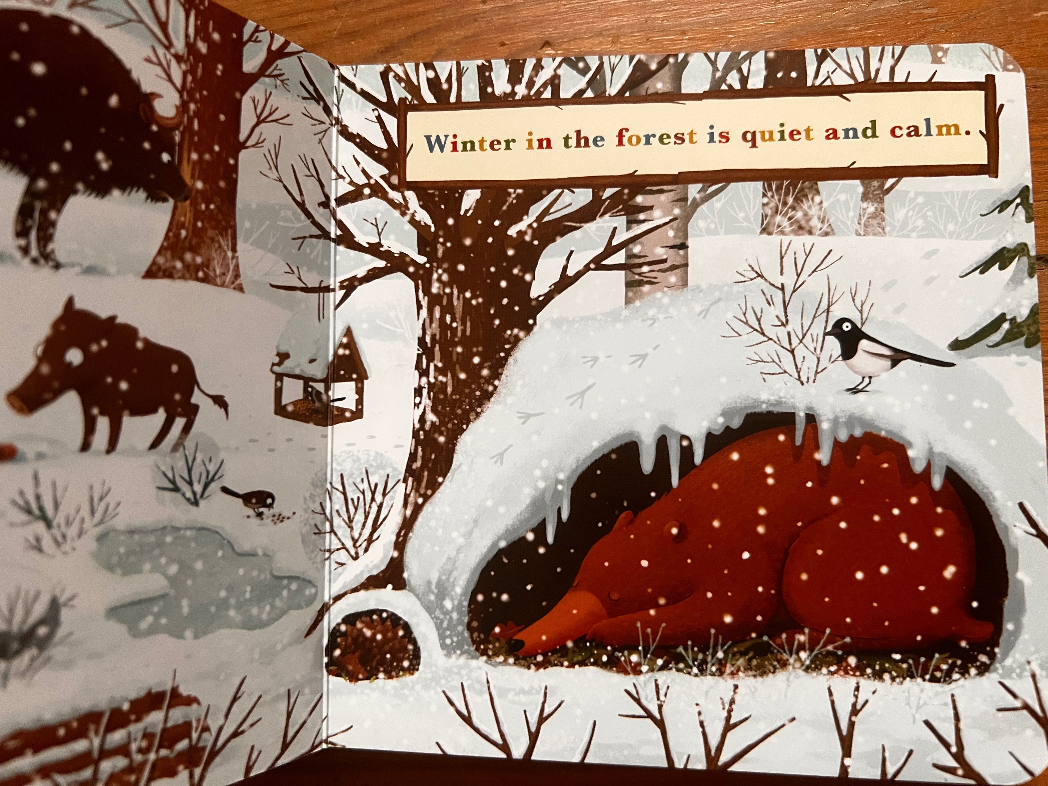 Zestaw książek Year in the Forest Emilia Dziubak po angielsku - 4 szt