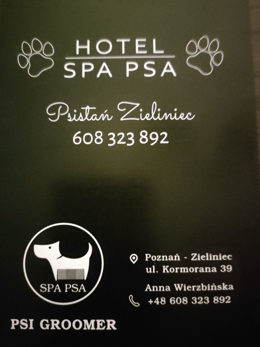 Hotel dla psów SPA PSA
