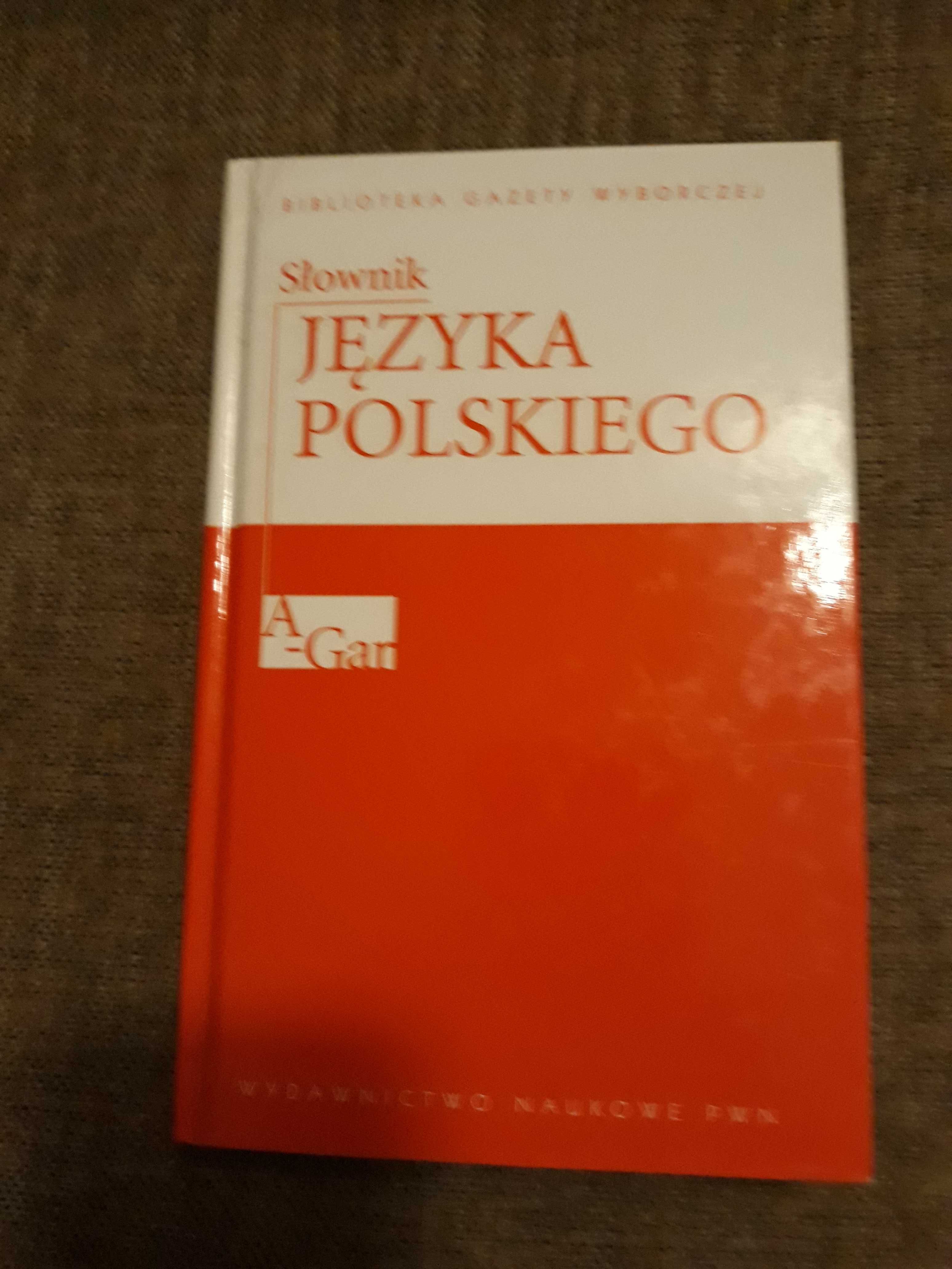 Slownik jezyka polskiego tom 1 Miroslaw Banko