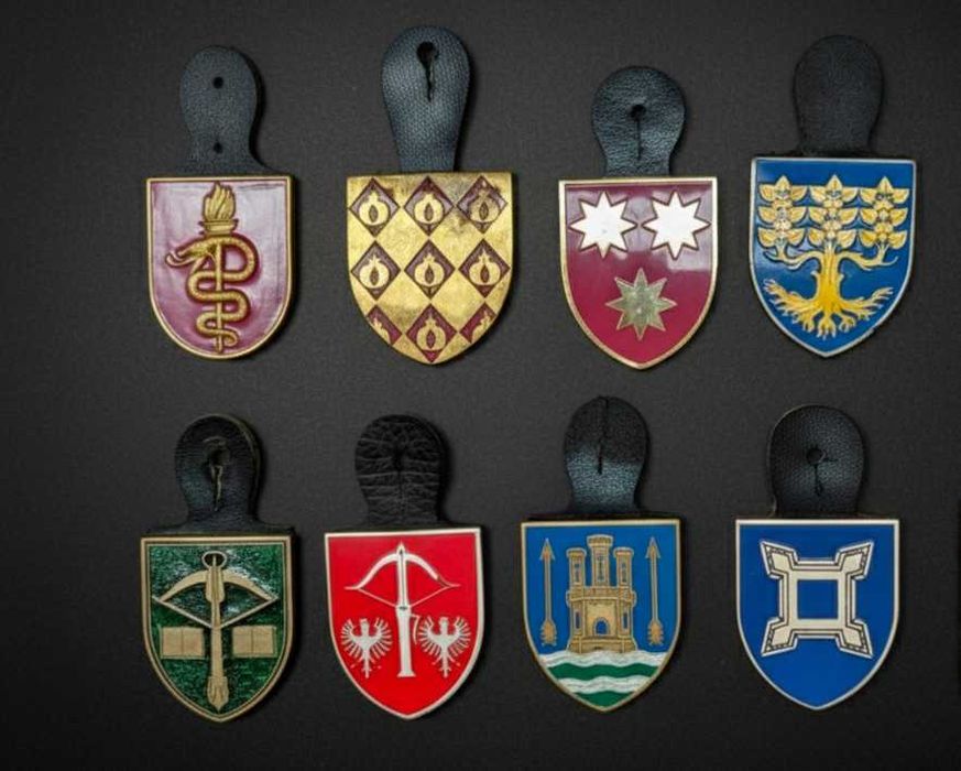 Coleção total de Crachás Militares Portugueses