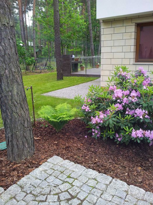 Dom w Magdalence, w Sosnowym Lesie .  3/5. Dojazd S8 i S79