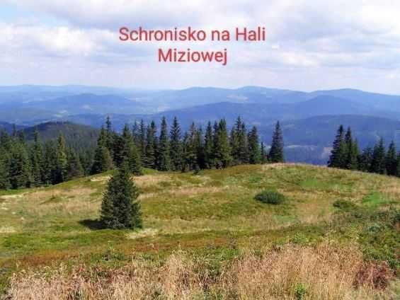 Apartament Koszarawa