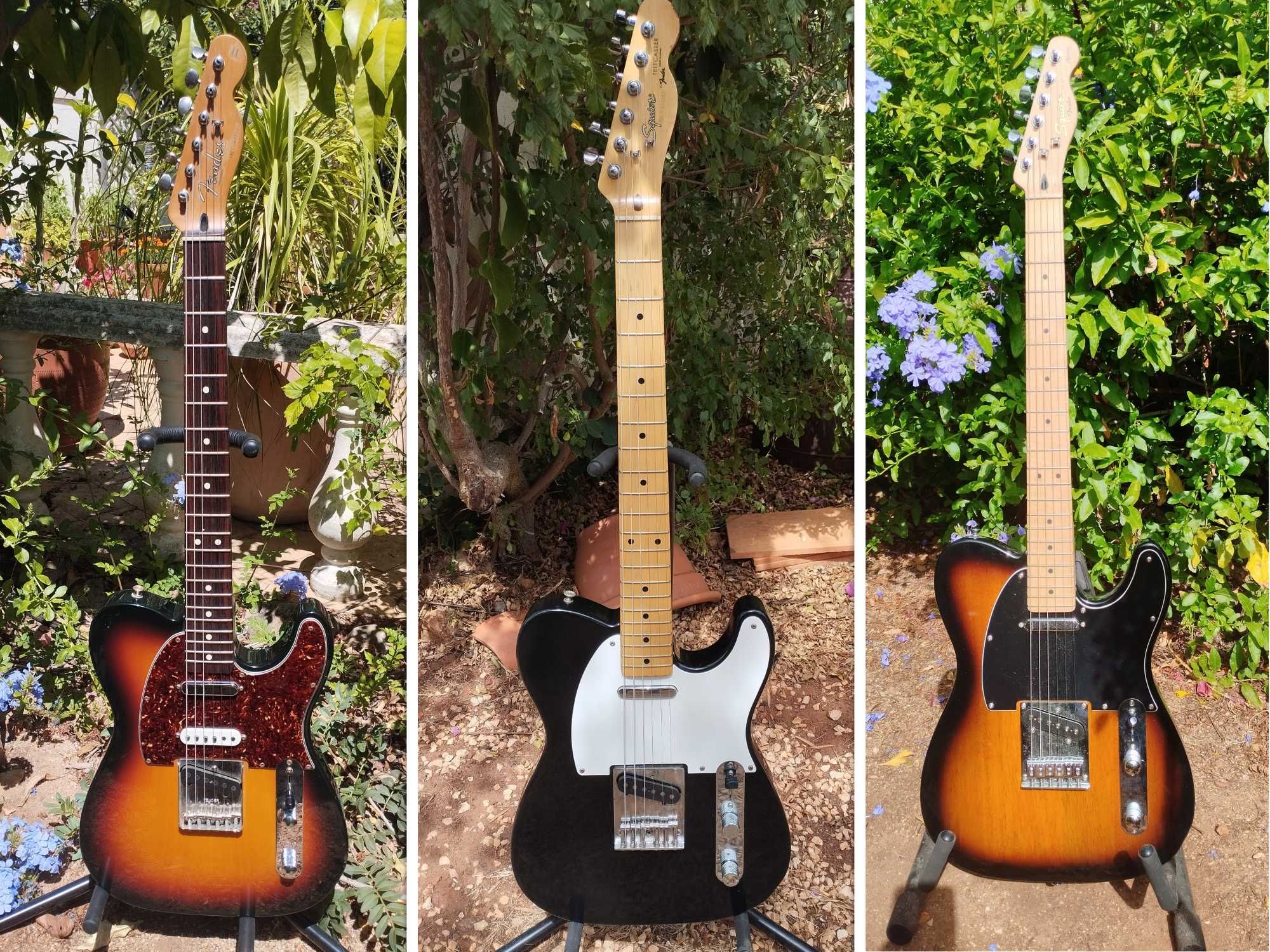 FENDER & SQUIER Telecaster Electric Guitars / Guitarras