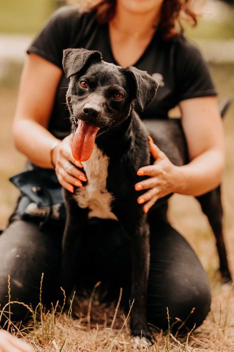 Bajtek - psiak gotowy na nowe przygody u Twojego boku :)