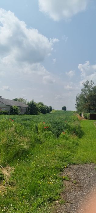 Dzialka 36arow Krzak Woj. Lubelskie gm. Nielisz