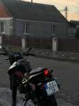 Geon pantera n200