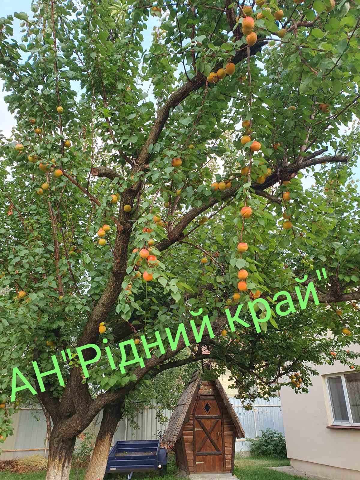 На околиці міста продамо затишний будинок 98м.кв.