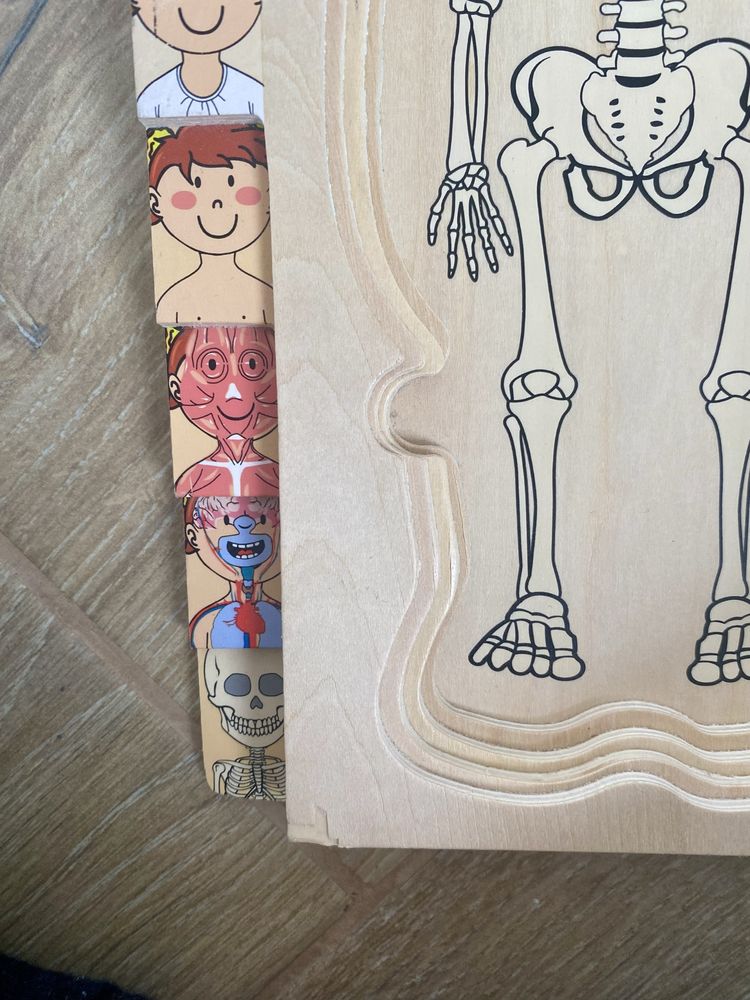 Układanka drewniana- warstwowa- Anatomia czlowieka- Dziewczynka