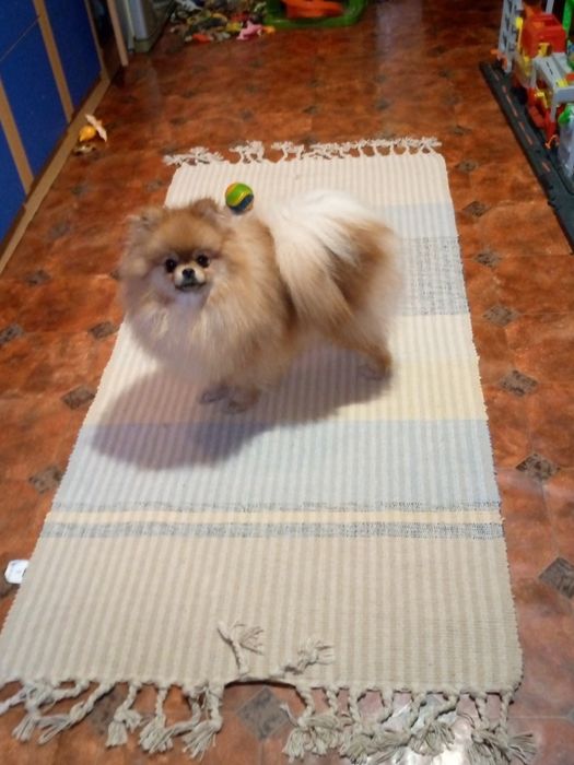 Красивий хлопчик