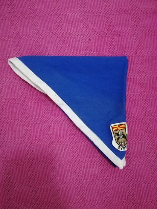 Lenços escuteiros lobito e pioneiro