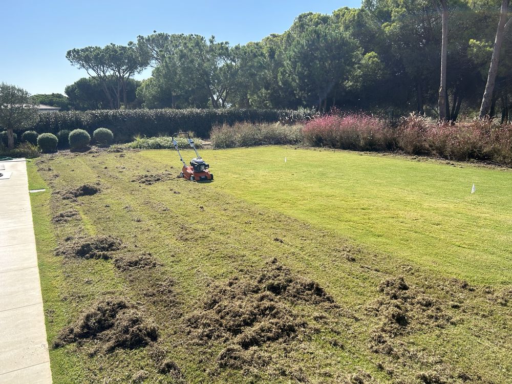 Manutenção de jardim e piscinas