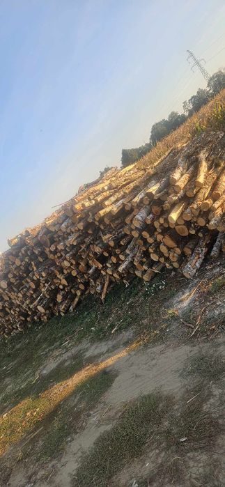 Drewno opałowe kominkowe