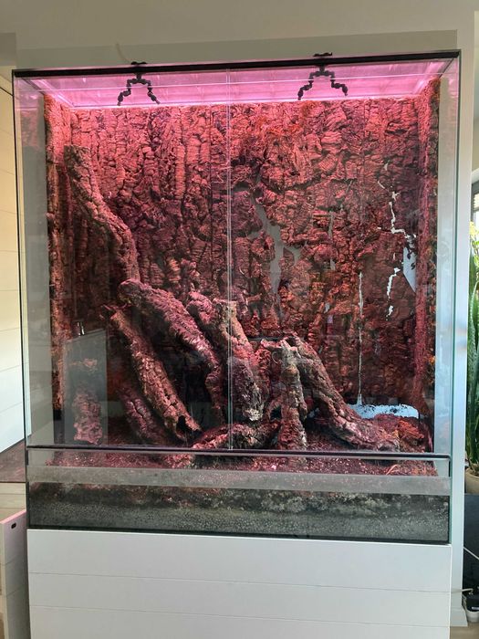 terrarium, szklarnia, wiwarium, duży rozmiar, Kraków