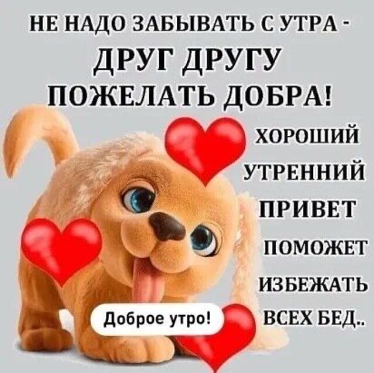 ВЯЗКА.   собак