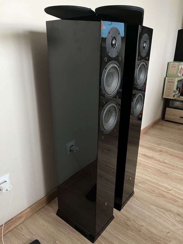 Audiofilskie DLS r55
